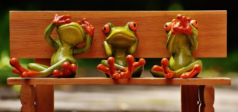 frogs-1610562_1920